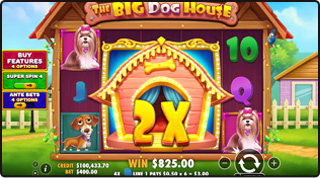 Большой Wild символ в The Big Dog House
